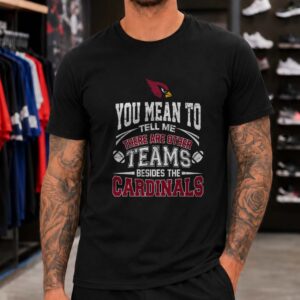 Arizona Cardinals You Mean To Tell Me There Are Other Teams Funny Fan T-Shirt