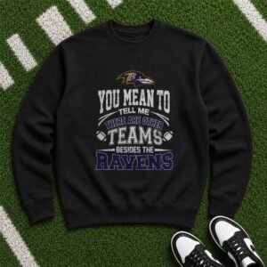 You Mean To Tell Me There Are Other Teams Besides The Ravens Funny Baltimore Ravens Fan T-Shirt